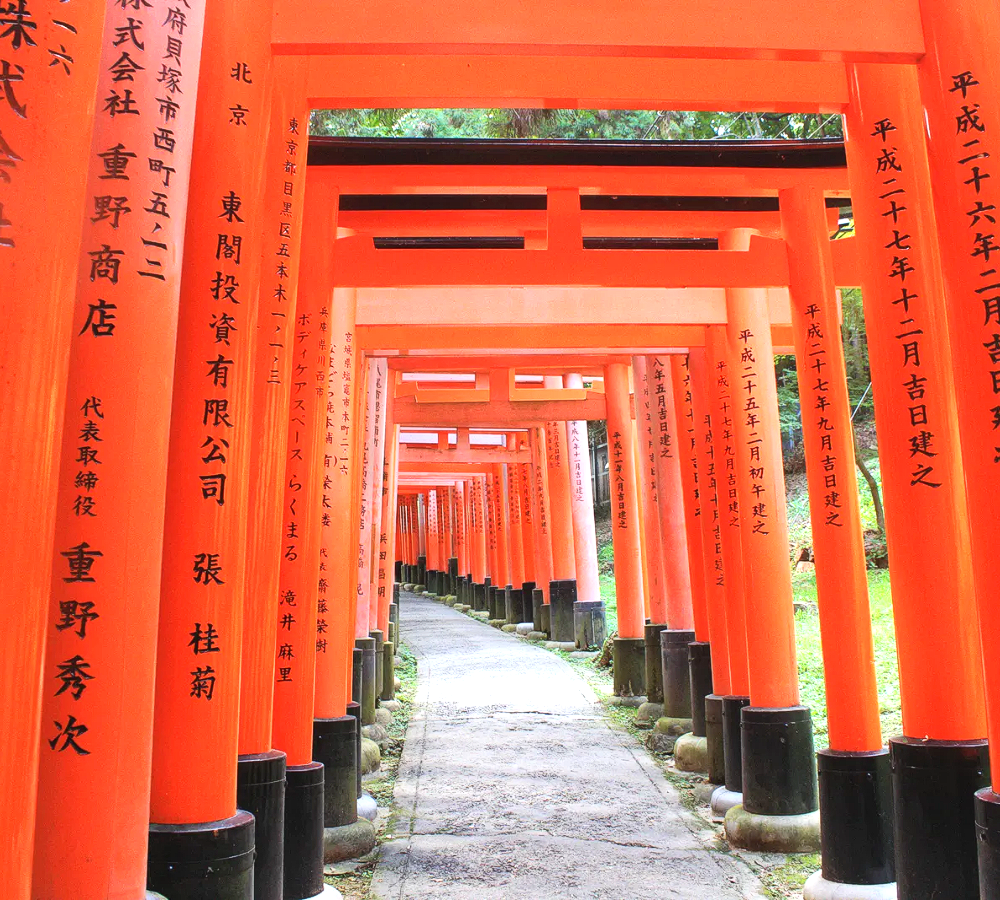 snssmingjapan